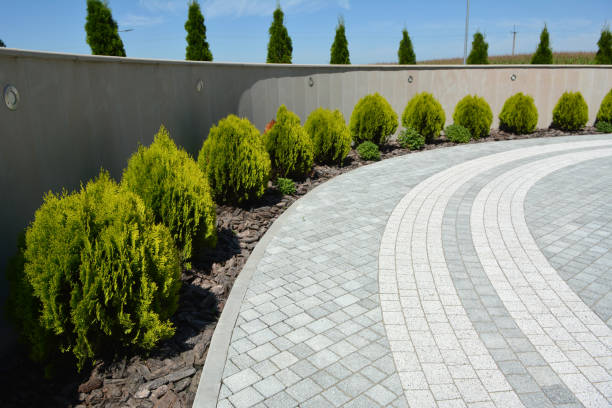 Best Professional Driveway Pavers  in Bertram, TX